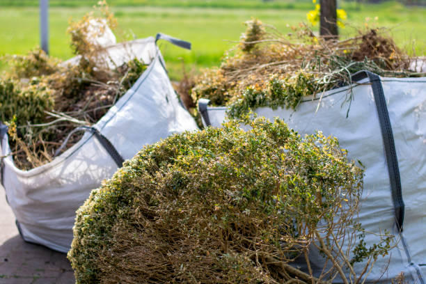 Demolition Debris Removal in Pasco, WA